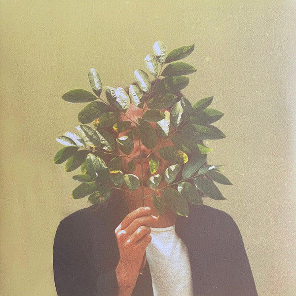 French Kiwi Juice