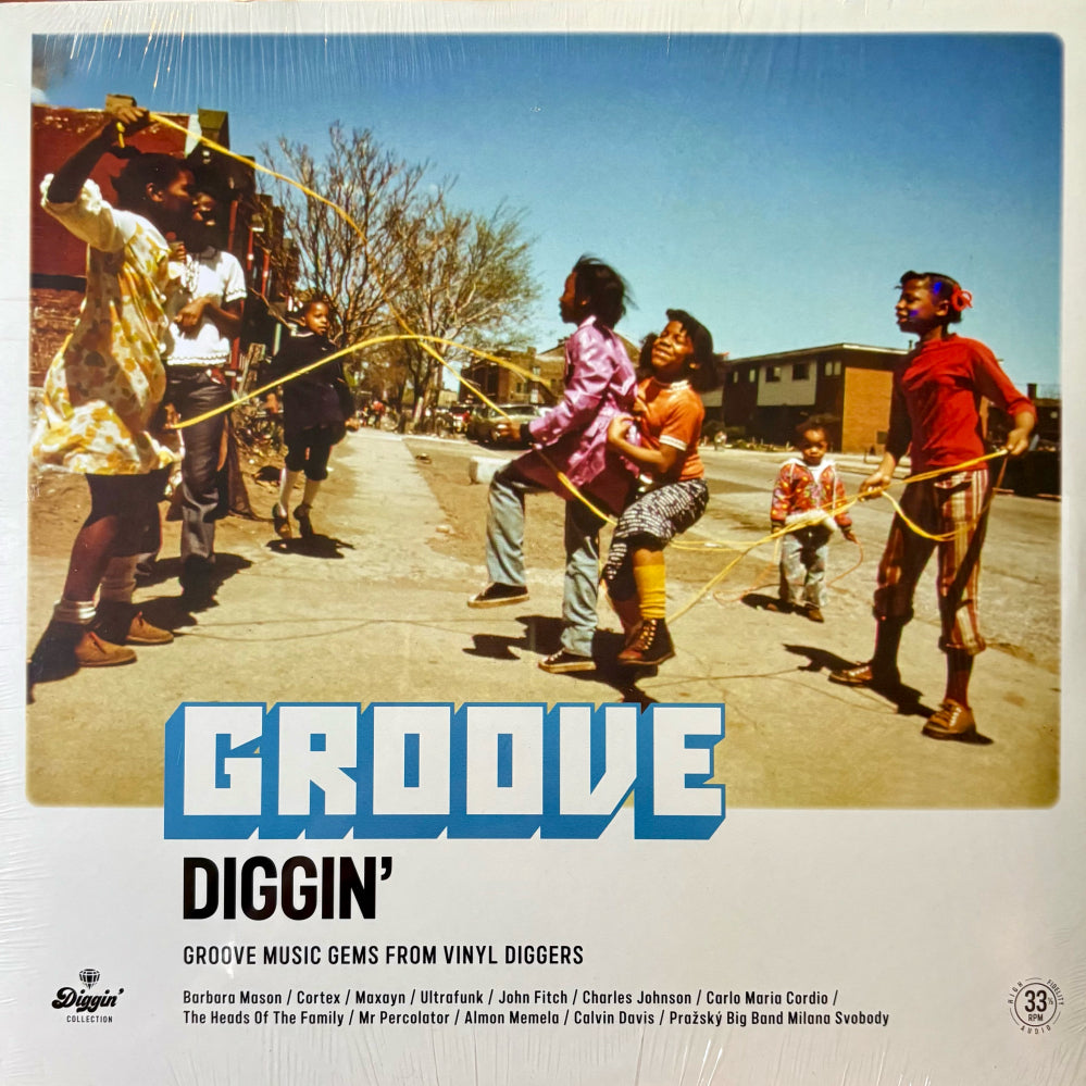 Groove Diggin': Groove Music Gems From Vinyl Diggers
