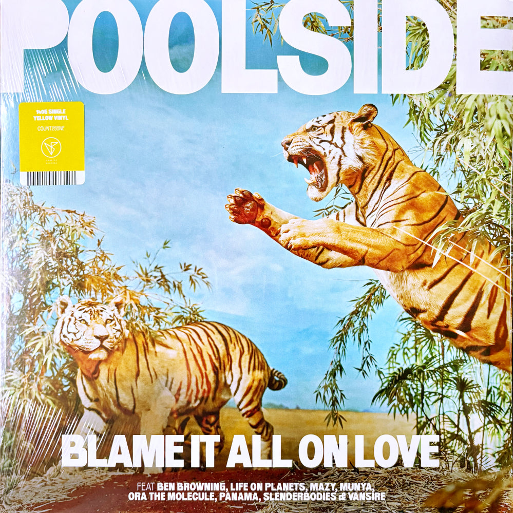 Blame It All On Love