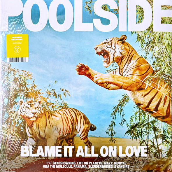 Blame It All On Love