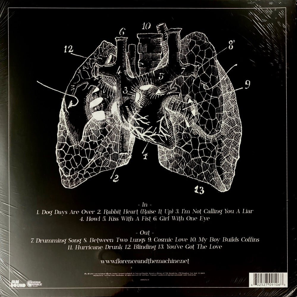 Lungs